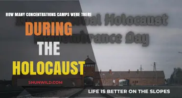Unveiling the Scale: Concentration Camps During the Holocaust