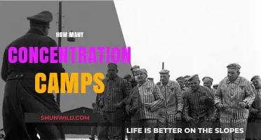 Unveiling the Dark History: Exploring the Number of Concentration Camps