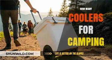 Essential Guide: Choosing the Right Number of Coolers for Camping Trips