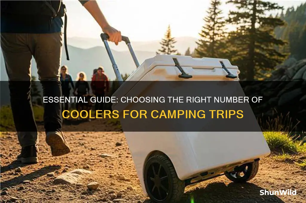 how many coolers for camping