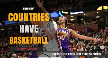 Basketball's Global Reach: How Many Countries Play?
