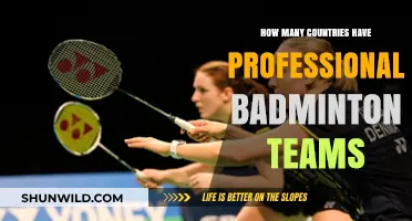 Badminton's Professional Teams: How Many Countries?