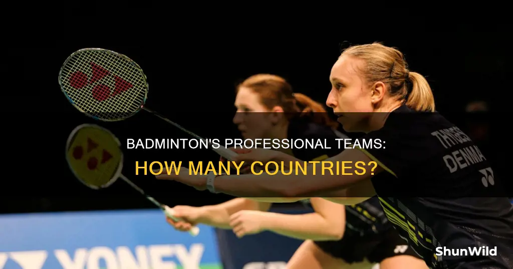 how many countries have professional badminton teams