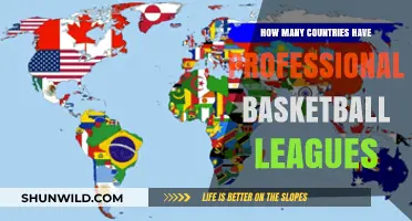 Basketball Leagues: How Many Countries Have Professional Teams?