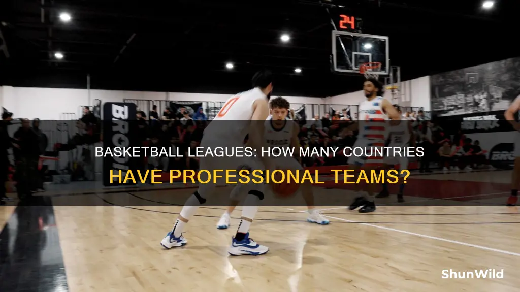 how many countries have professional basketball leagues