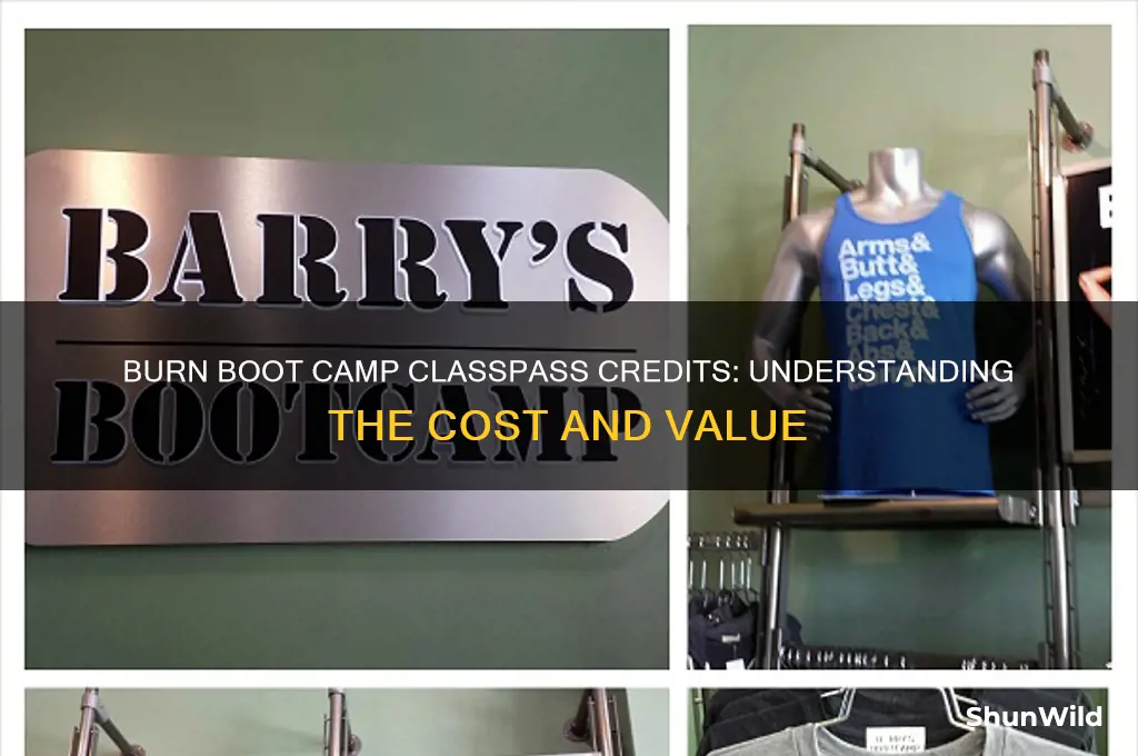 how many credits is burn boot camp on classpass