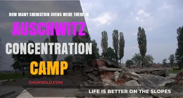 Auschwitz Cremation Ovens: Uncovering the Dark History and Numbers