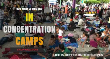 Cuban Casualties in Spanish-American War Concentration Camps Revealed