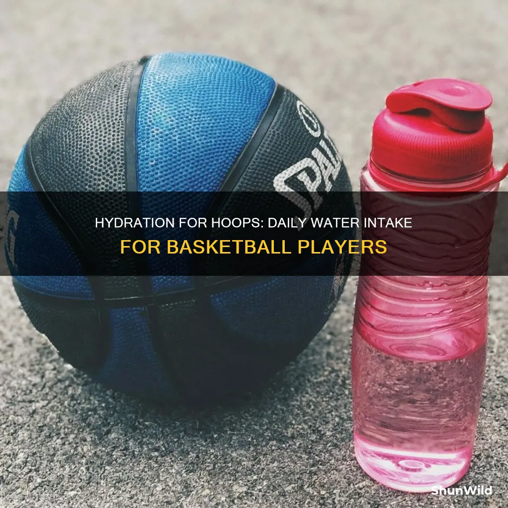 how many cups of water a day for basketball
