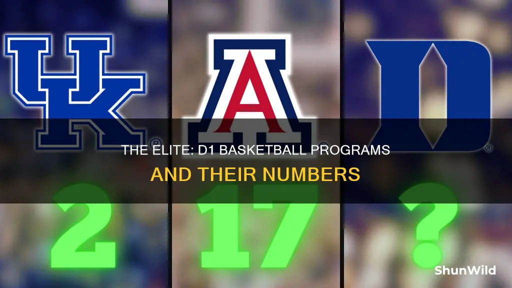 how many d1 basketball programs
