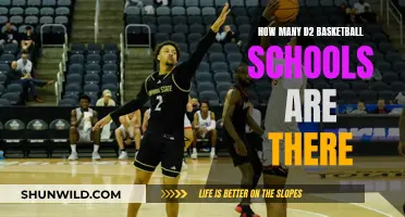 D2 Basketball: Exploring the Vast Number of Schools