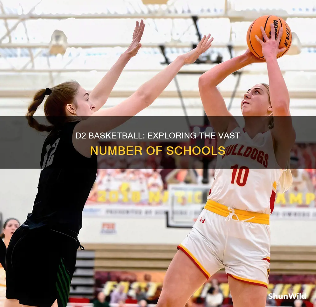 how many d2 basketball schools are there