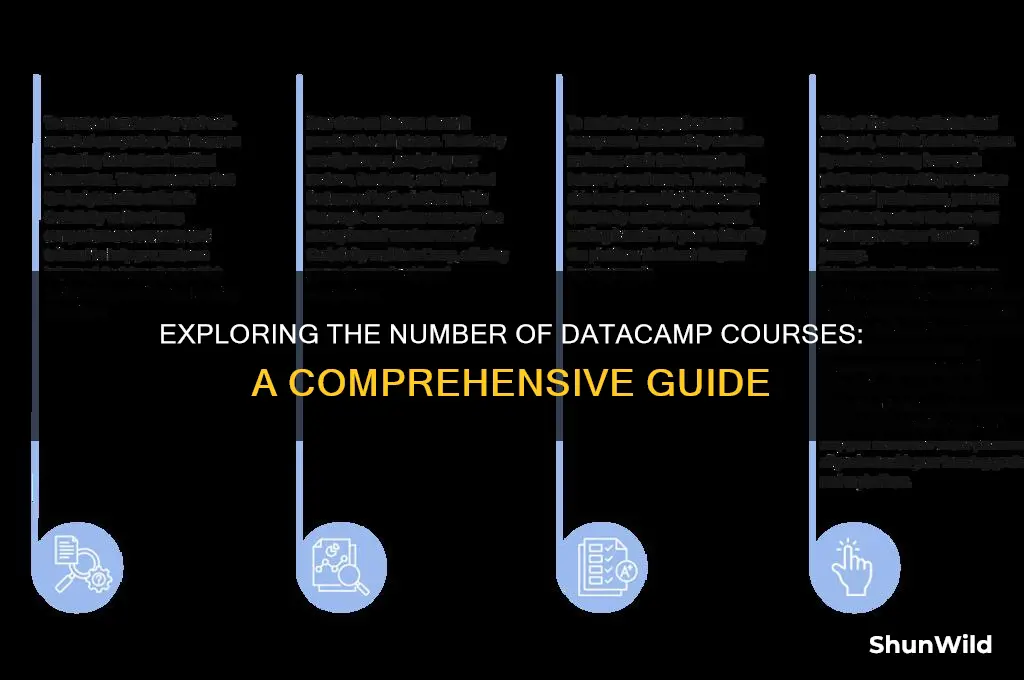 how many data camp