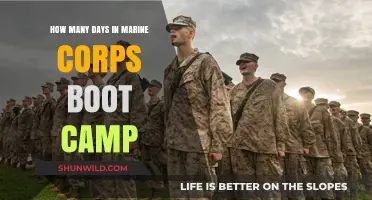 Marine Corps Boot Camp Duration: How Many Days to Expect?