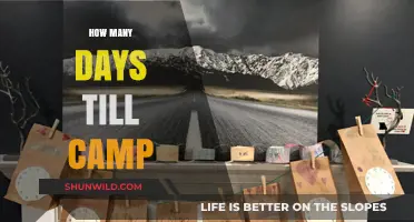 Countdown to Camp: Days Remaining Until Your Adventure Begins
