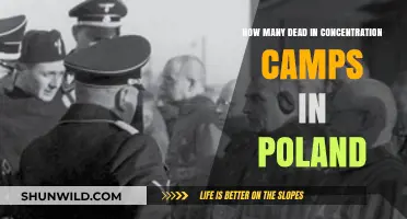 Uncovering the Devastating Toll of Poland's Concentration Camps