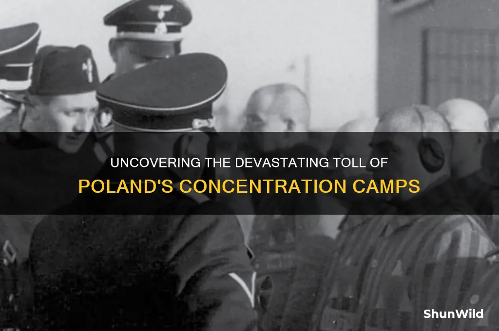 how many dead in concentration camps in poland