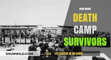 Death Camp Survivors: Counting the Lives That Endured the Holocaust