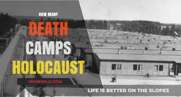 Uncovering the Dark History of Holocaust Death Camps and Their Numbers
