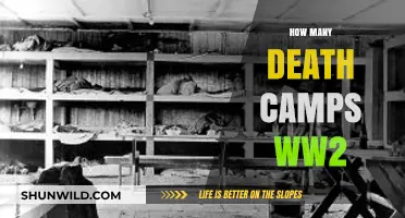 Unveiling the Dark Legacy of WWII's Death Camps and Their Toll