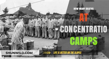 Unveiling the Devastating Toll: Concentration Camp Deaths Explored