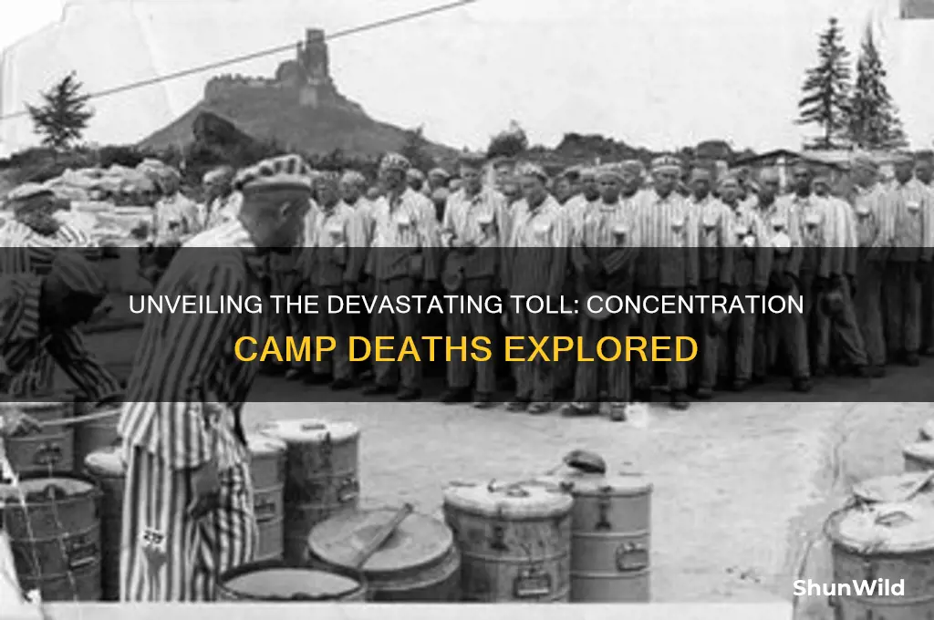 how many deaths at concentration camps