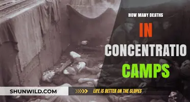 Uncovering the Devastating Toll of Concentration Camp Deaths