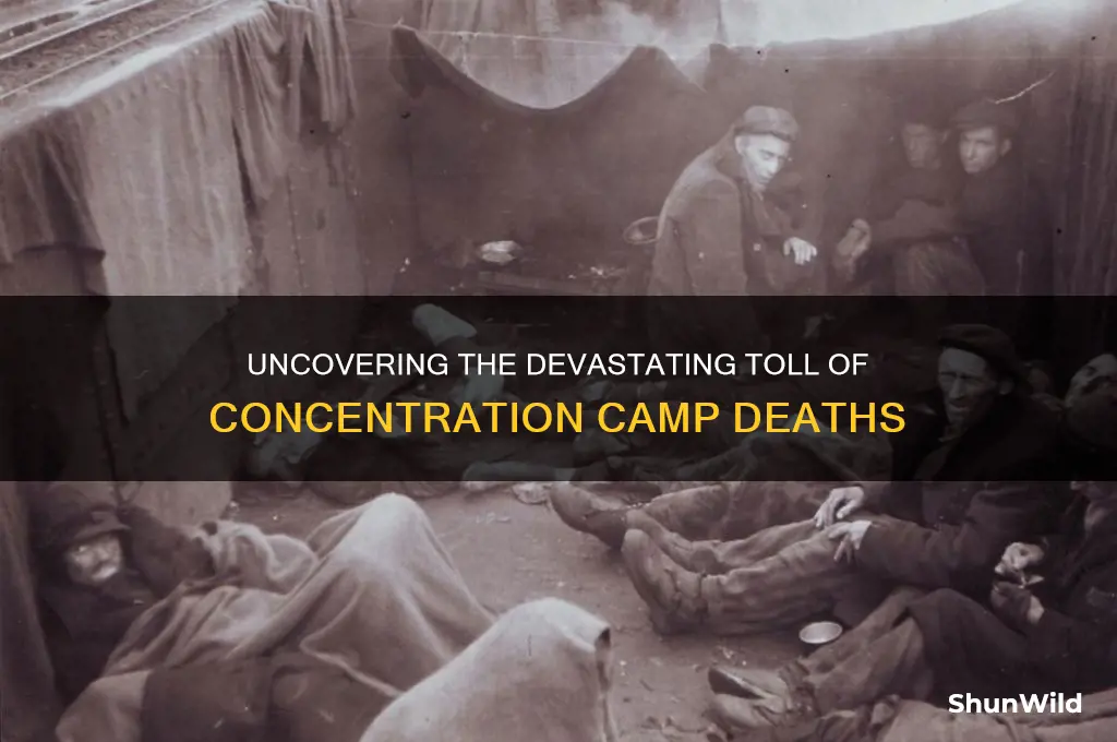 how many deaths in concentration camps