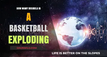 Exploding Basketballs: Decibel Levels and Safety Concerns