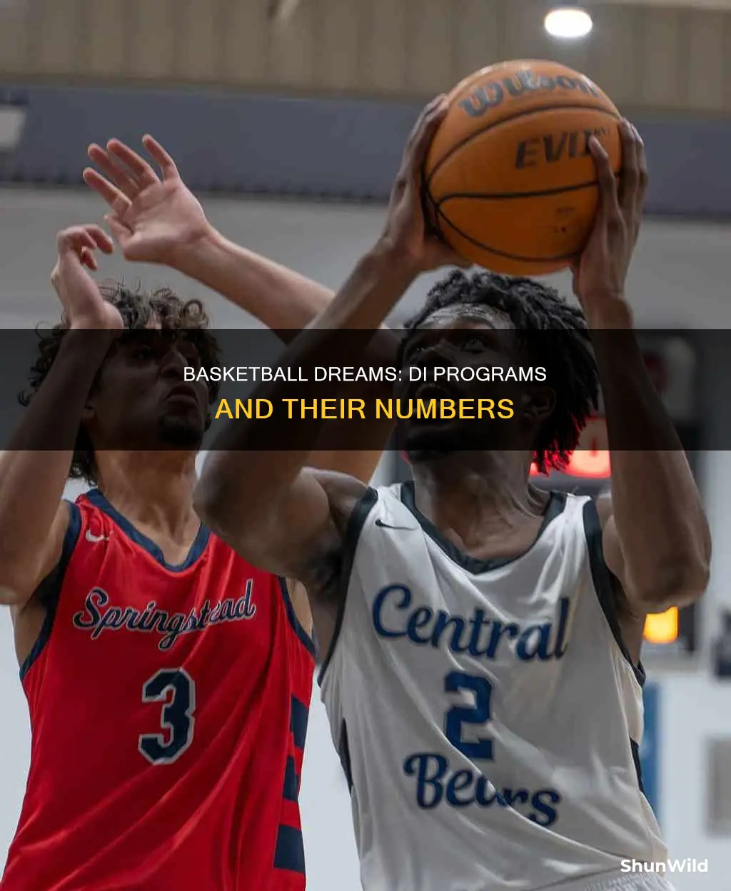 how many di basketball programs