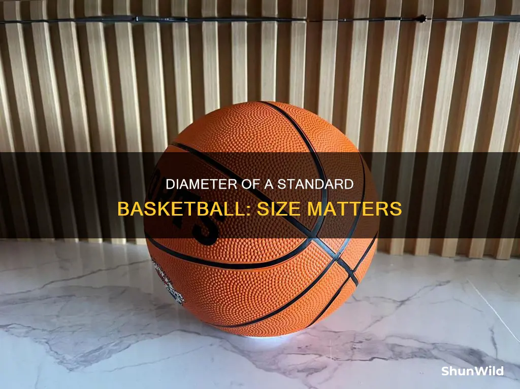 how many diameters is standard basketball