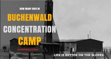 Buchenwald Concentration Camp: Uncovering the Devastating Death Toll