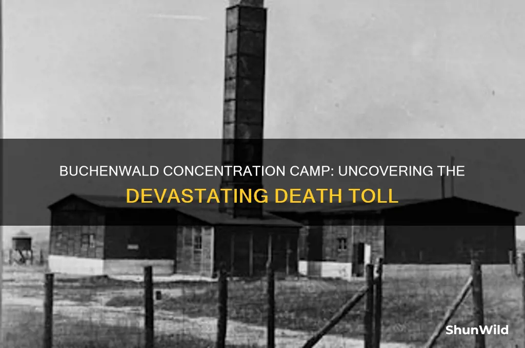 how many died in buchenwald concentration camp
