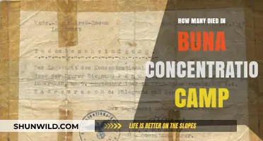 Buna Concentration Camp's Dark Legacy: Uncovering the Tragic Death Toll