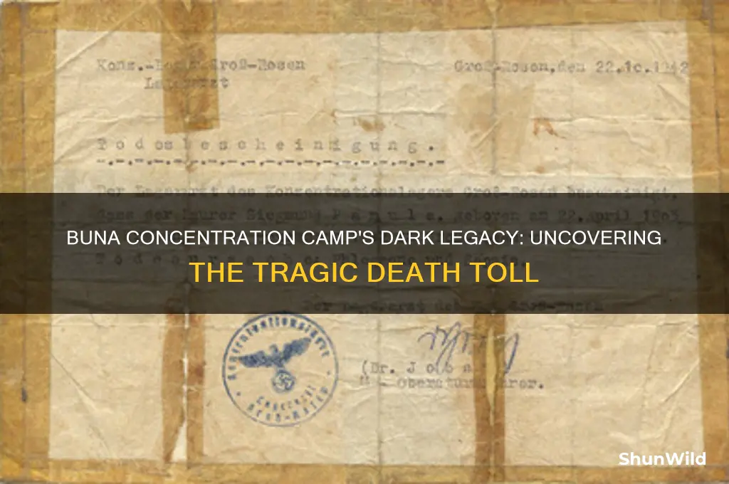 how many died in buna concentration camp