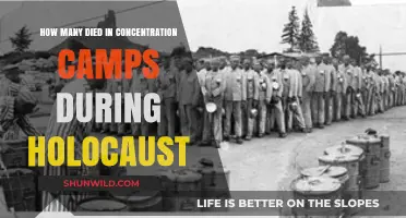 Holocaust's Dark Legacy: Unveiling Concentration Camp Death Toll