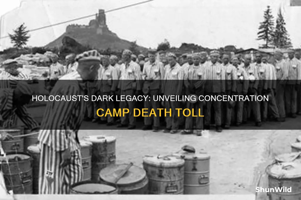 how many died in concentration camps during holocaust