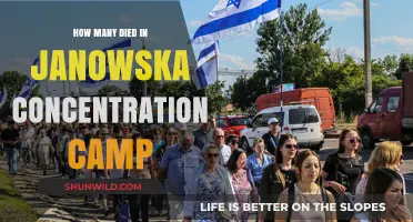 Janowska Concentration Camp: Uncovering the Tragic Death Toll