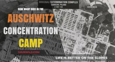 Auschwitz's Dark Legacy: Uncovering the Devastating Death Toll