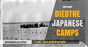 Uncovering the Tragic Toll: Deaths in Japanese Internment Camps