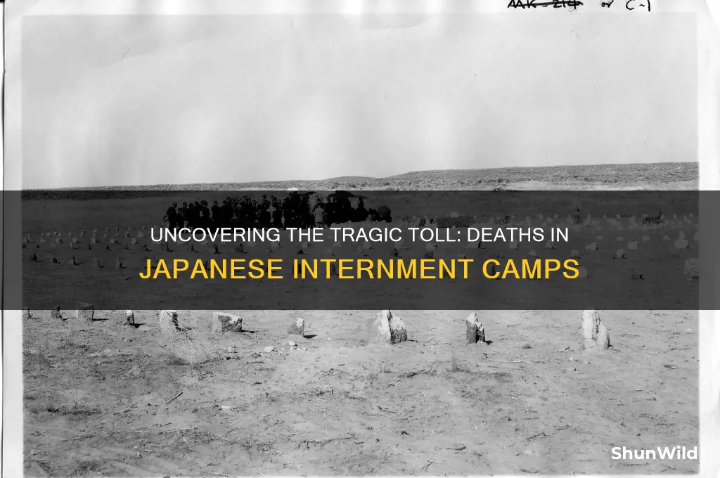 how many diedthe japanese camps