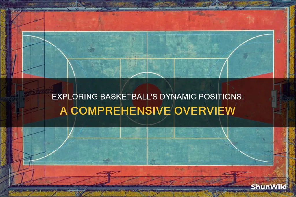 how many different positions are there in basketball