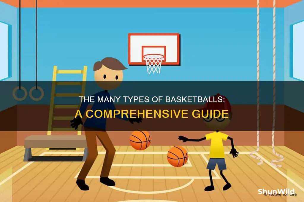 how many different types of basketballs are there