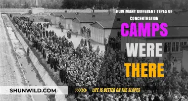 Exploring the Varied Types of Concentration Camps in History