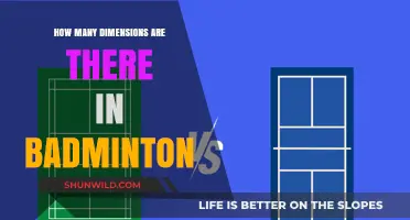 Badminton's Multidimensional Magic: 8 Dimensions Explored