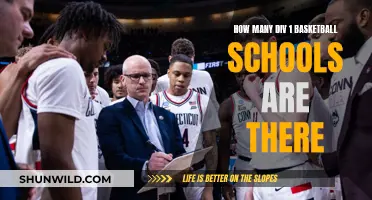 The Vast Number of Division 1 Basketball Schools