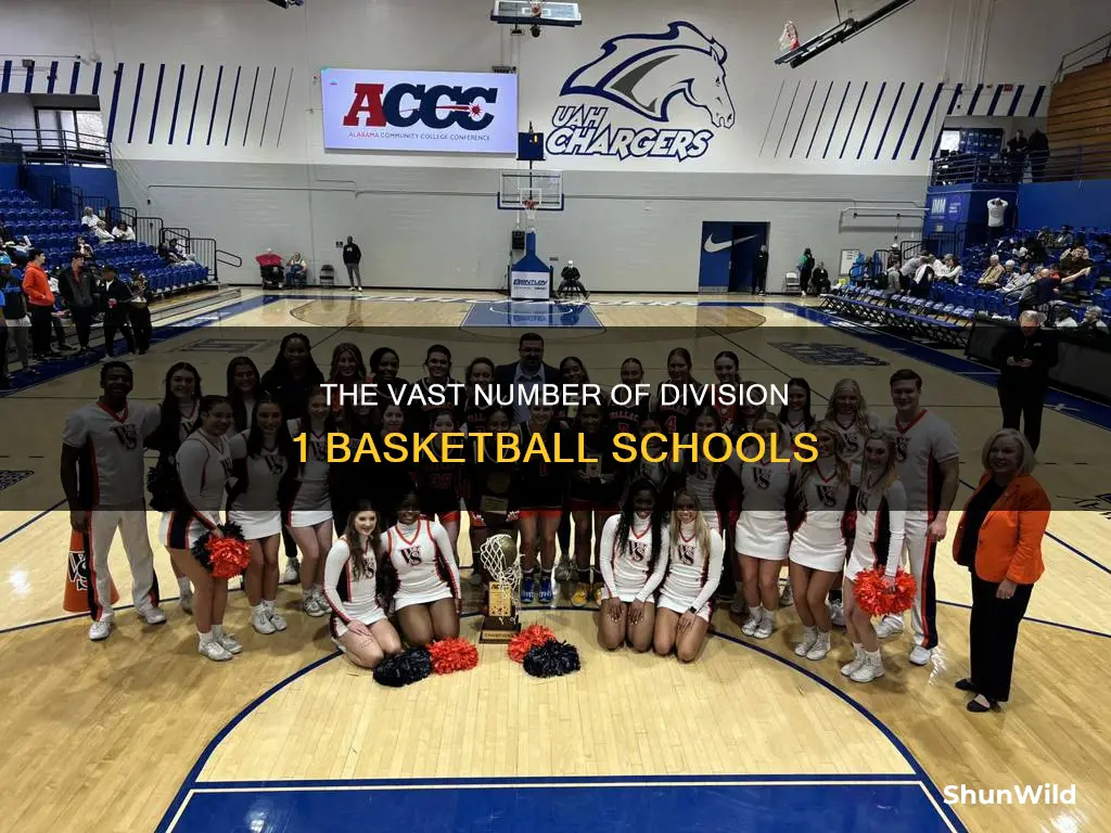 how many div 1 basketball schools are there