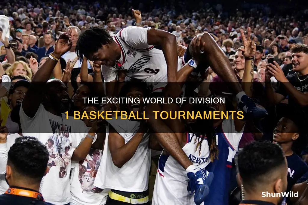 how many division 1 basketball tournaments are there