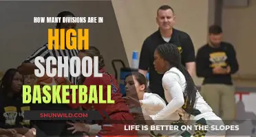 Understanding High School Basketball Divisions