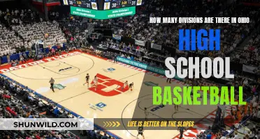 Ohio High School Basketball: Divisional Breakdown